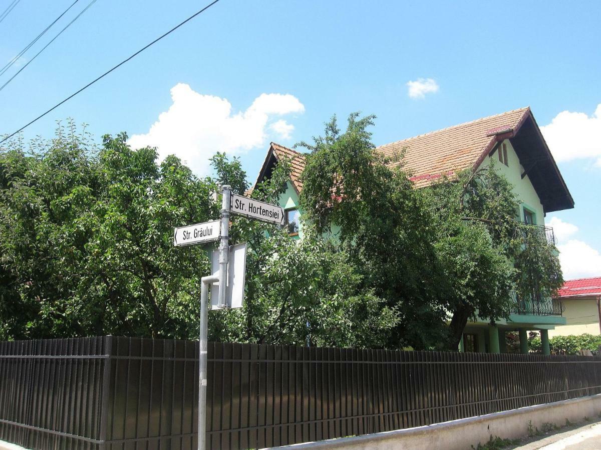 Smb Holiday Apartment Braşov Esterno foto